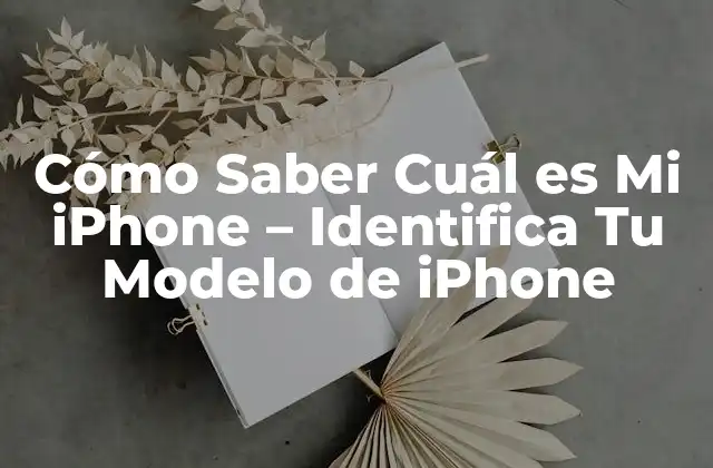 ¿Por Qué es Importante Saber Cuál es Mi iPhone?