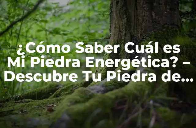 ¿cómo Saber Cuál es Mi Piedra Energética? – Descubre Tu Piedra de Protección