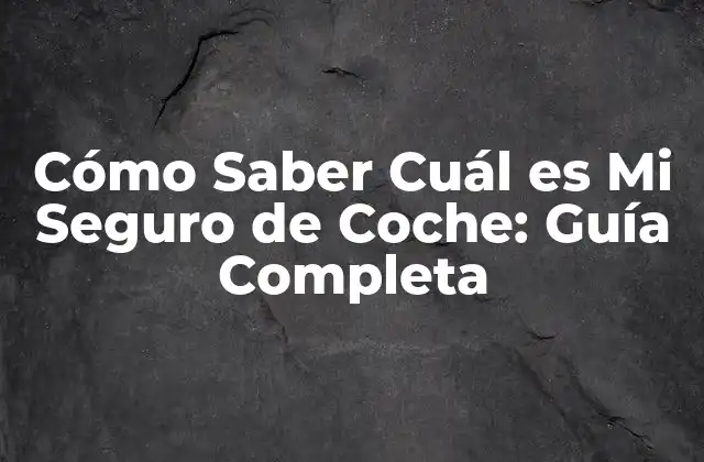 Cómo Saber Cuál es Mi Seguro de Coche: Guía Completa