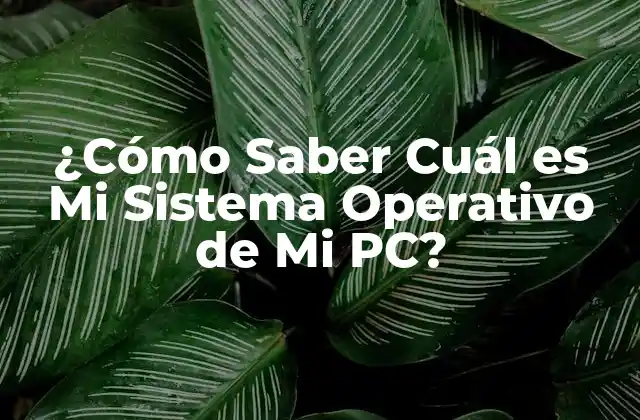Cómo Verificar el Sistema Operativo en una PC con Windows