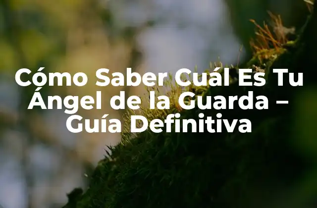 Cómo Saber Cuál es Tu Ángel de la Guarda - Guía Definitiva 2 La Creencia en los Ángeles de la Guarda