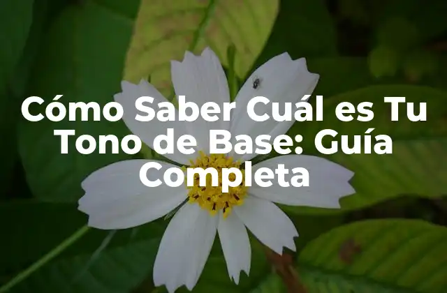 Cómo Saber Cuál es Tu Tono de Base: Guía Completa