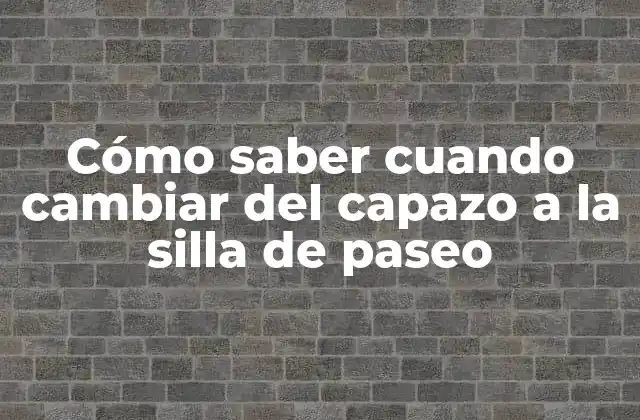 Cómo Saber Cuando Cambiar Del Capazo a la Silla de Paseo