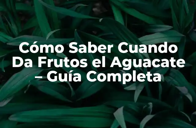 La Importancia de la Maduración del Aguacate