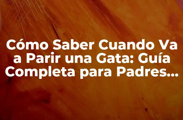 Cómo Saber Cuando Va a Parir una Gata: Guía Completa para Padres Felinos