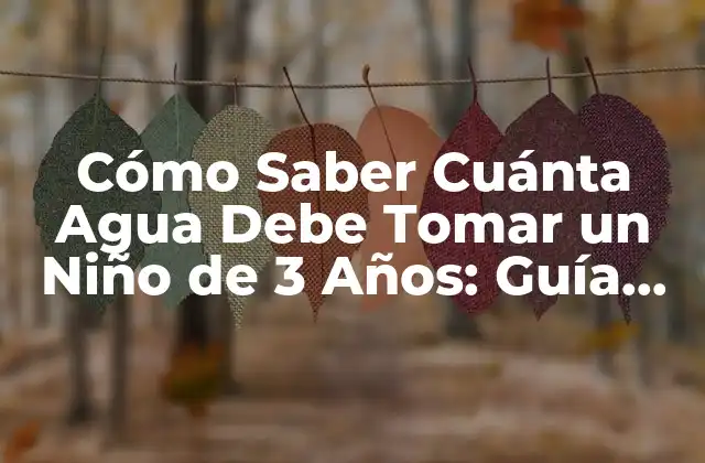 Cómo Saber Cuánta Agua Debe Tomar un Niño de 3 Años: Guía para Padres