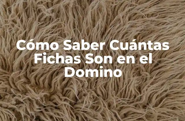 Cómo Saber Cuántas Fichas Son en el Domino