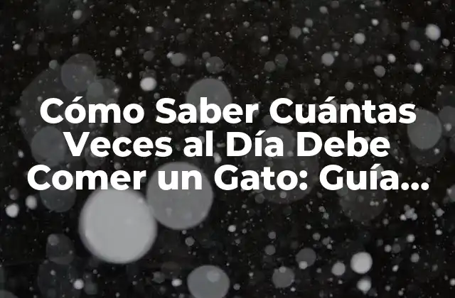 Cómo Saber Cuántas Veces Al Día Debe Comer un Gato: Guía para Dueños de Gatos