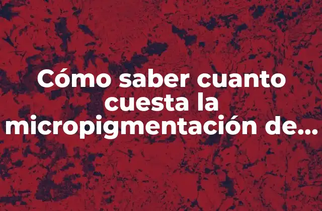 Cómo Saber Cuanto Cuesta la Micropigmentación de Cejas