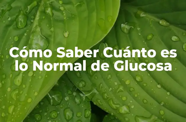 ¿Qué es la Glucosa y por qué es Importante?