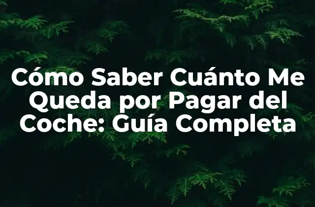 Cómo Saber Cuánto Me Queda por Pagar Del Coche: Guía Completa