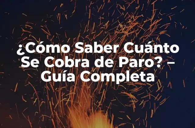 ¿cómo Saber Cuánto Se Cobra de Paro? – Guía Completa