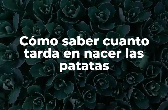 Cómo Saber Cuanto Tarda en Nacer las Patatas