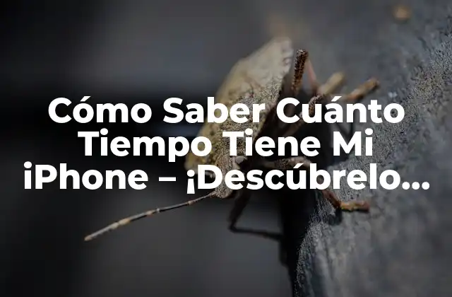 Cómo Saber Cuánto Tiempo Tiene Mi Iphone – ¡descúbrelo Ahora!