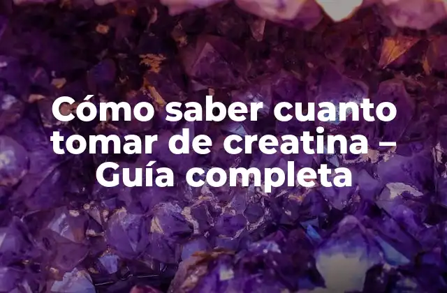 Cómo Saber Cuanto Tomar de Creatina – Guía Completa