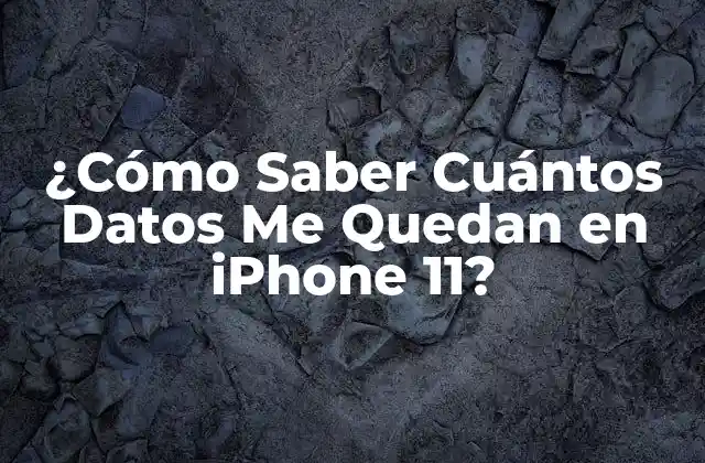 ¿cómo Saber Cuántos Datos Me Quedan en Iphone 11?