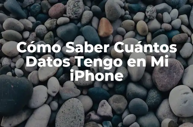 Cómo Saber Cuántos Datos Tengo en Mi Iphone