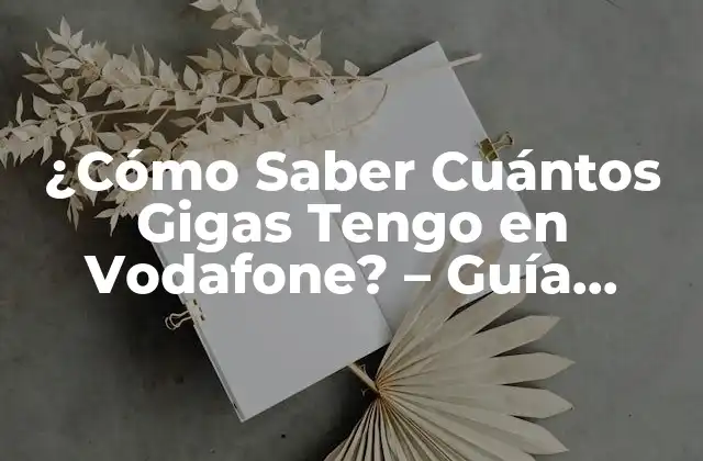 ¿cómo Saber Cuántos Gigas Tengo en Vodafone? – Guía Completa