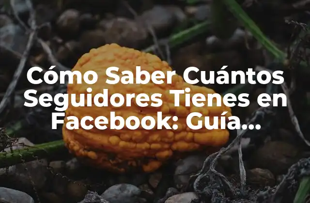 Cómo Saber Cuántos Seguidores Tienes en Facebook: Guía Completa