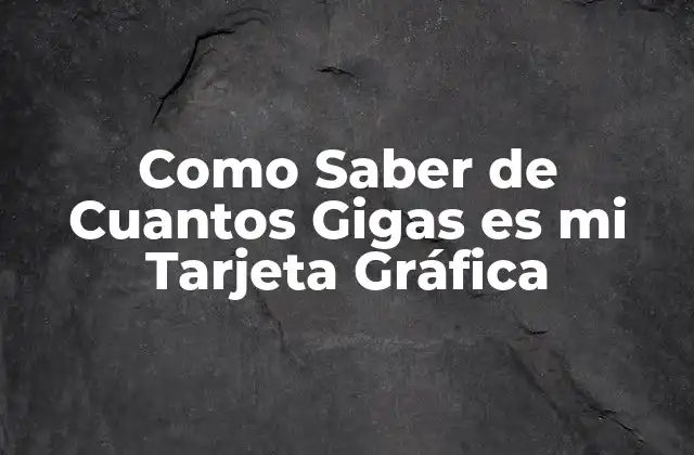 Como Saber de Cuantos Gigas es Mi Tarjeta Gráfica