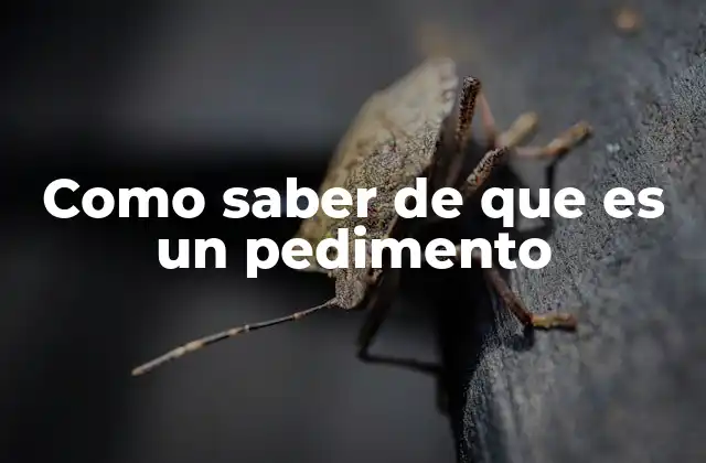 Como Saber de que es un Pedimento