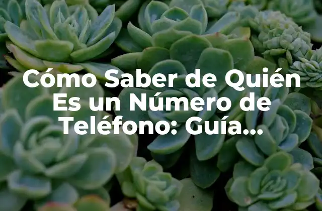 Cómo Saber de Quién es un Número de Teléfono: Guía Definitiva