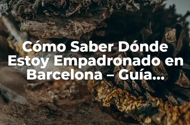 Cómo Saber Dónde Estoy Empadronado en Barcelona – Guía Práctica