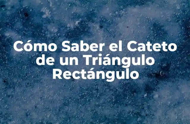 Cómo Saber el Cateto de un Triángulo Rectángulo