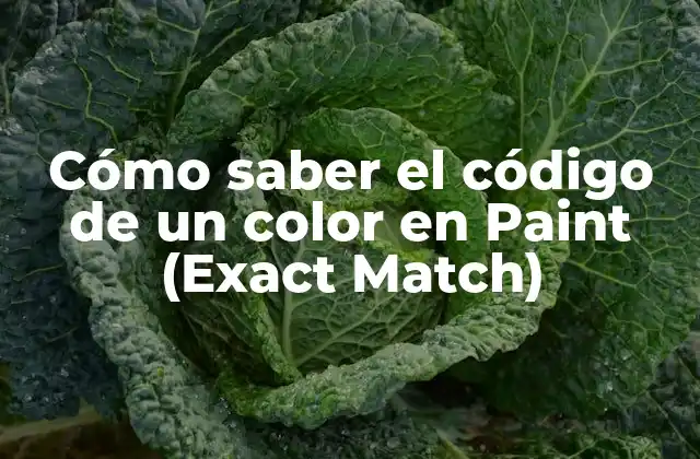 Cómo Saber el Código de un Color en Paint (exact Match)