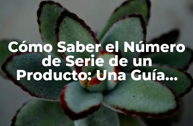 Cómo Saber el Número de Serie de un Producto: una Guía Detallada