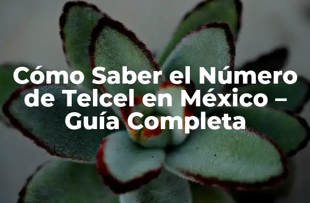 Cómo Saber el Número de Telcel en México – Guía Completa