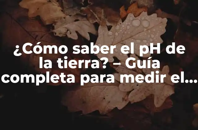 ¿cómo Saber el Ph de la Tierra? – Guía Completa para Medir el Ph Del Suelo