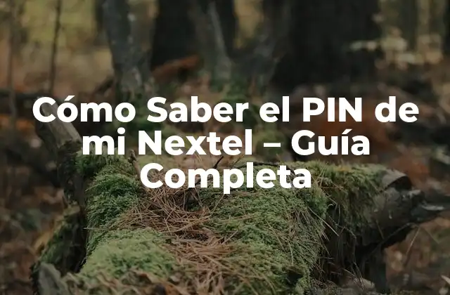 ¿Qué es el PIN de mi Nextel?