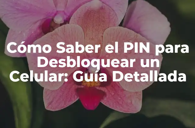Cómo Saber el Pin para Desbloquear un Celular: Guía Detallada