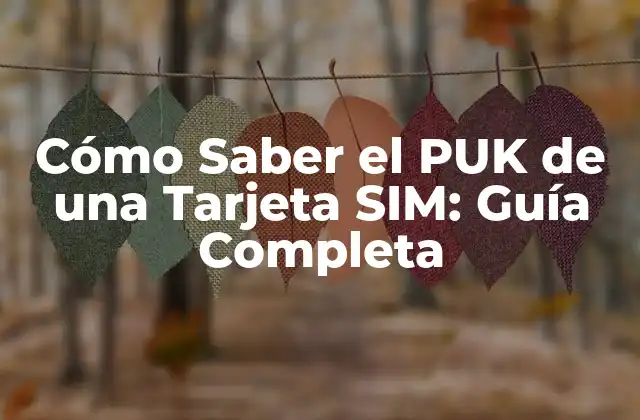 Cómo Saber el Puk de una Tarjeta Sim: Guía Completa