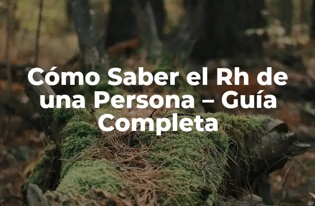 Cómo Saber el Rh de una Persona – Guía Completa