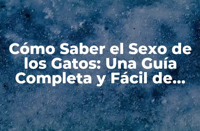 Cómo Saber el Sexo de los Gatos: una Guía Completa y Fácil de Seguir