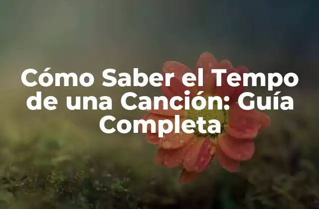 Cómo Saber el Tempo de una Canción: Guía Completa