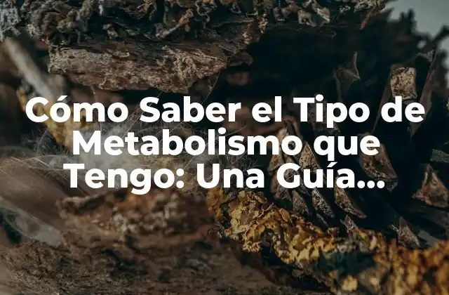 Cómo Saber el Tipo de Metabolismo que Tengo: una Guía Definitiva