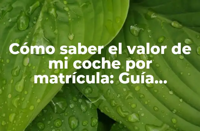 Cómo Saber el Valor de Mi Coche por Matrícula: Guía Detallada y Actualizada