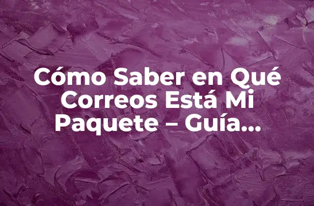 Cómo Saber en Qué Correos Está Mi Paquete - Guía Completa 2 ¿Por Qué es Importante Rastrear tus Paquetes?