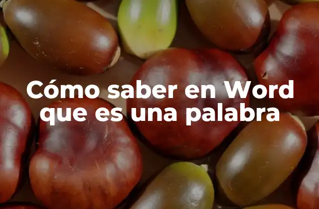 Cómo Saber en Word que es una Palabra