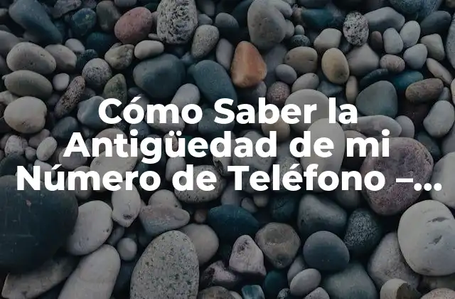 Cómo Saber la Antigüedad de Mi Número de Teléfono – Guía Completa