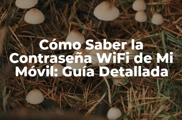 Cómo Saber la Contraseña Wifi de Mi Móvil: Guía Detallada
