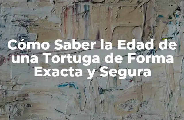 Cómo Saber la Edad de una Tortuga de Forma Exacta y Segura