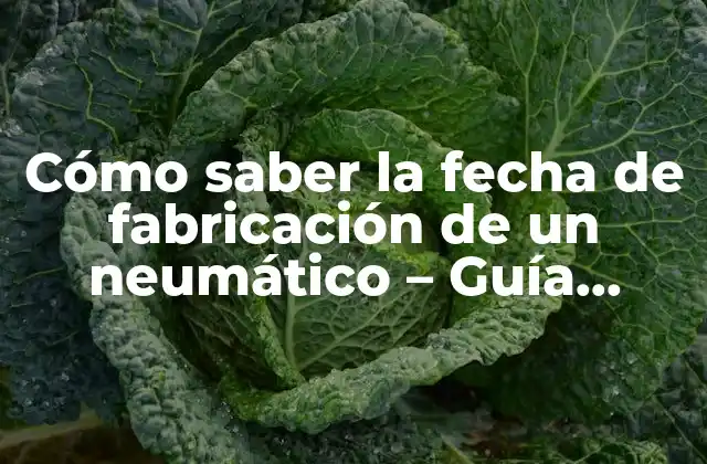 ¿Qué es la fecha de fabricación de un neumático?