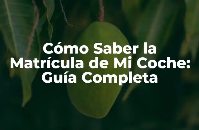 Cómo Saber la Matrícula de Mi Coche: Guía Completa