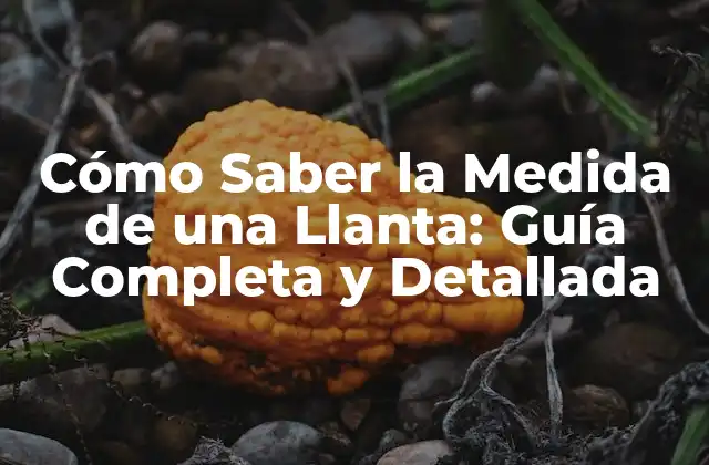 Cómo Saber la Medida de una Llanta: Guía Completa y Detallada