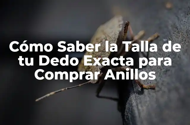 Cómo Saber la Talla de Tu Dedo Exacta para Comprar Anillos