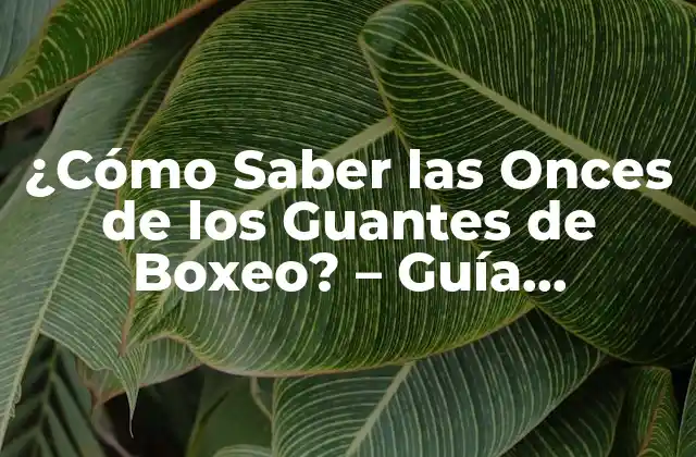 ¿cómo Saber las Onces de los Guantes de Boxeo? – Guía Completa